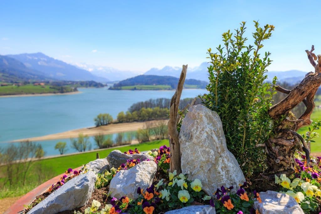 Le lac de la Gruyère derrière les fleurs de la terrasse